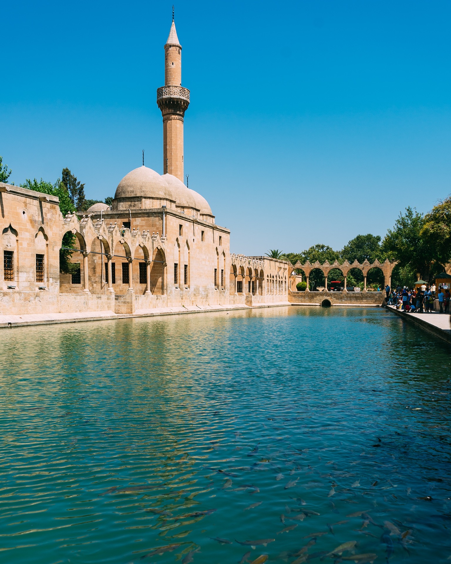 Şanlıurfa turizmde 2023’ü boş geçirdi 2024’ten umutlu