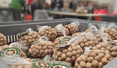 Ceviz Üreticileri Derneği’nden yerli cevizi markalaştırma yolunda ilk adım