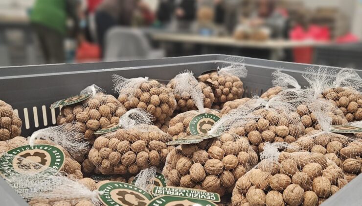 Ceviz Üreticileri Derneği’nden yerli cevizi markalaştırma yolunda ilk adım