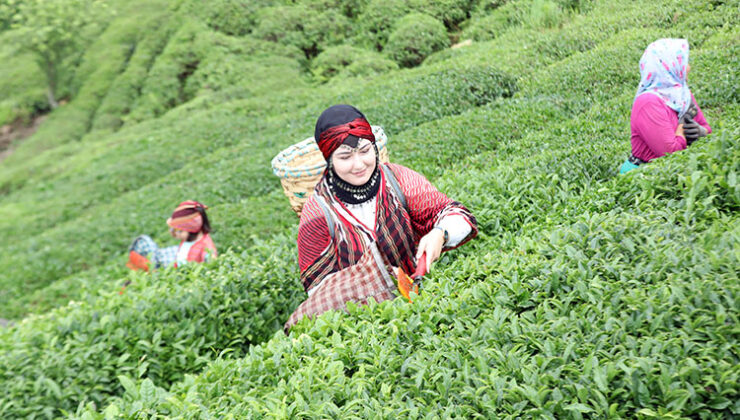 Karadeniz’in bereketli topraklarından gelen aroma: Beta Tea Kızıl Dem